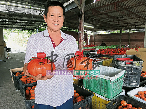 洪增炼展示其将推出市场的发财果。