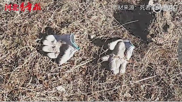 疑似嫌犯遺留的粗布手套。