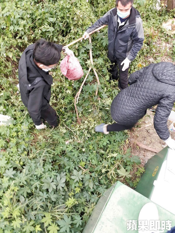 葬儀社人員在劉女住所附近的草叢起出男嬰遺體。