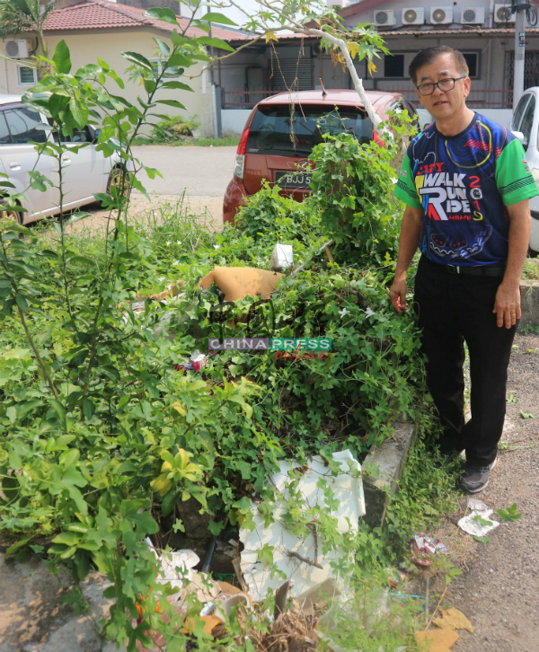 陈劲源指草堆底下都是垃圾，没有清理。