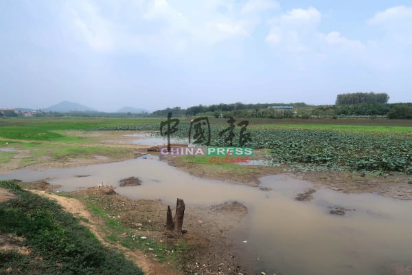 干涸见底的马接水坝（之前）。