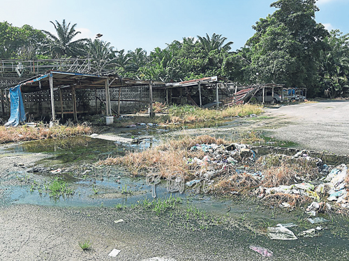 組屋附近溝渠垃圾滿地，溝水溢出路面甚至青苔生長，足見此問題存在已久。