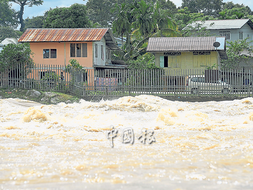 经过连日来的倾盆大雨，古晋峇都吉当甘榜的河流水位骤涨，随时会淹至甘榜的房屋，令人看了心惊胆跳。