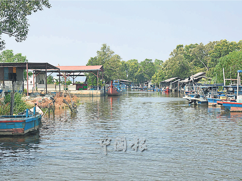 网寮河近期声名大噪，继2周前出现鳄鱼游入，周六再被发现大量虾仔疑因缺氧浮上水面。