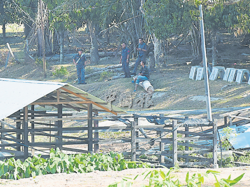 外勞逃到附近甘榜區或樹林內，還是被執法人員包抄逮捕。