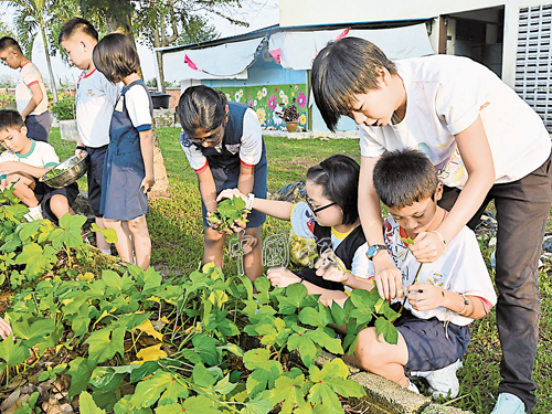 胡靜儀（白衣者）教導小學生，如何分辨蔬菜葉子的模樣。（攝影：陳繡郿）