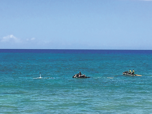 一架小型飛機墜落瓦胡島外海，僅一小部分露出水面，救援人員前往救助。（美聯社）