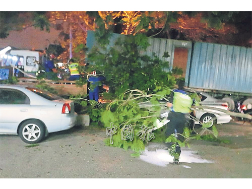 一輛拖格羅厘經過大學嶺第2/2大路，勾斷路旁大樹枝椏，導致兩輛車輛不偏不移被粗大樹枝擊毀中。