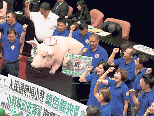 國民黨立委霸佔發言台，並將道具豬畫上眼淚放在發言台上。（路透社）