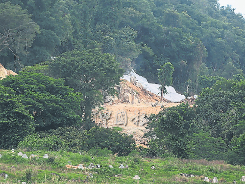 位于峇都眼冬公塚附近山坡疑因被砍伐樹木，造成山坡“禿頭”。