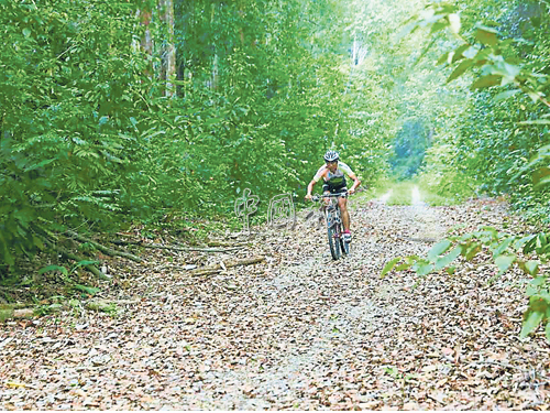 負責騎登山腳車的組員，氣力很重要，因為他一人即負責大半程的比賽。 