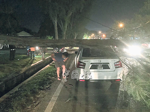 在沒刮風、下雨情況下，樹旁松樹忽然斷成兩截，不偏不倚壓著在行駛中的轎車。 