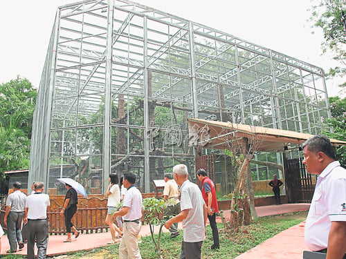 太平動物園完成12項提升動物圍欄工程，這是黑豹的新家園。 