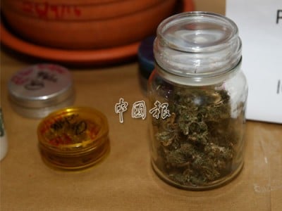 嫌犯將已乾涸的大麻葉，藏在玻璃瓶內。