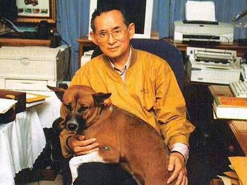 泰王與愛犬“通丹”的合照。（互聯網）