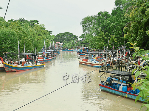 大涨潮影响，渔夫纷纷把渔船靠岸停泊在河岸边，停止出海捕鱼。