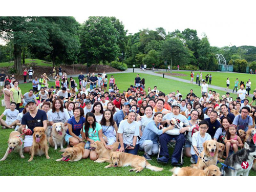 大約150名狗主帶著自己的黃金獵犬，9月17日到植物園為患癌的善傑（坐輪椅者）慶祝13歲生日。