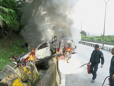 司機為閃避蟒蛇，轎車失控撞及路邊防護欄后起火。