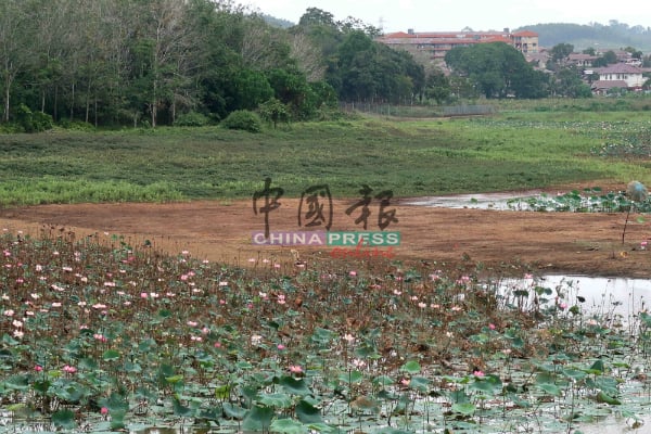 水坝多处随着水位败退，出现陆地。