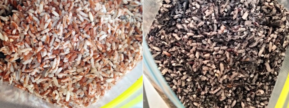 黄帝内经：五色米，不同节气，不同体质的人要食用不同的米，不同的研磨程度会呈现出不同的颜色，研磨得越深入，红米和紫米的颜色就更浅。