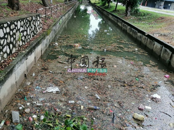 最近雨季，衔接抽水站的大水沟垃圾若没清理，将影响排水的顺畅。