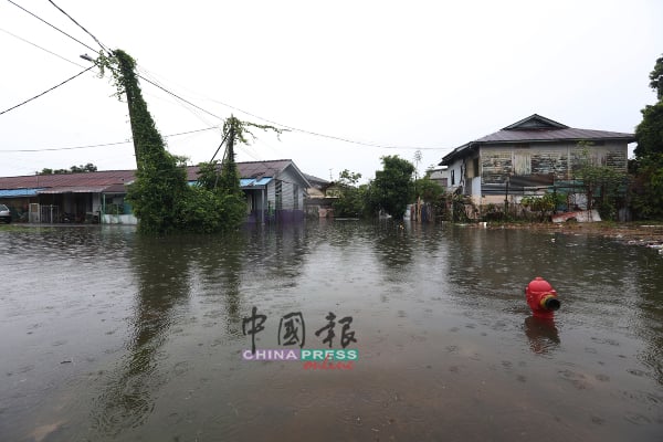 三芭弄今年首遭水劫，道路被淹没，消防栓也几乎被雨水淹及。