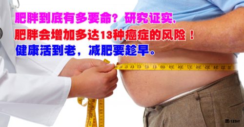 【健康百科】胖子易患13种癌？