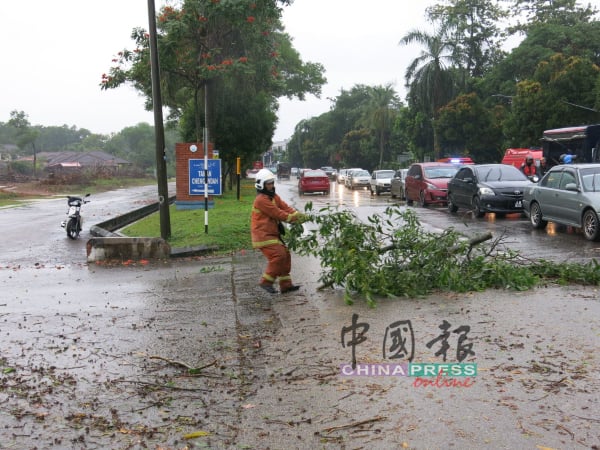 消拯人员清理马路上的树枝。