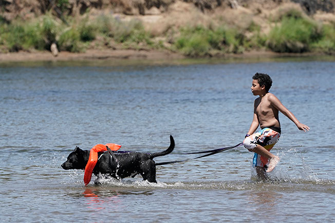 在美国加州，一名男孩拉着狗狗到海中嬉水降温。（美联社）