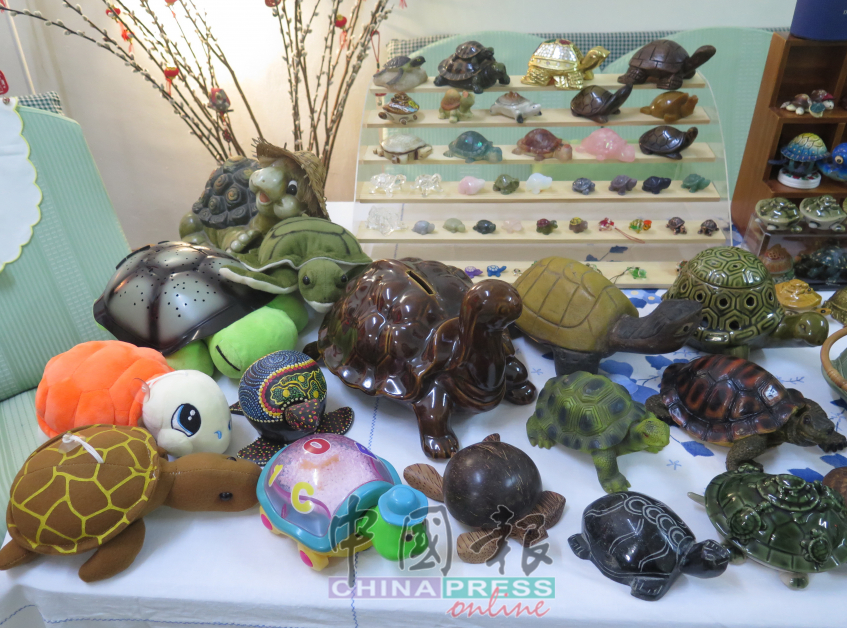 各种材质和造型的乌龟饰品，是张祥盛的心头好。