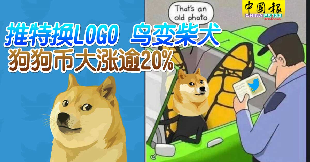 推特换LOGO 鸟变柴犬狗狗币大涨逾20% | 中國報China Press