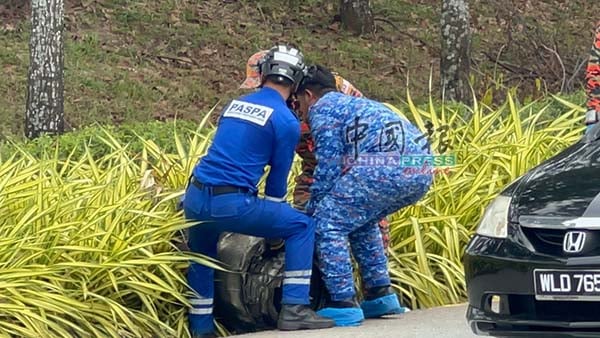 小型飞机坠落10死