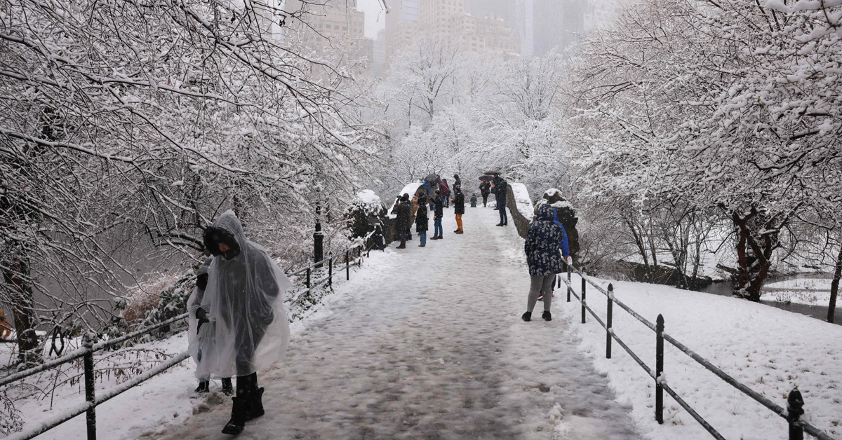 下雪天气下，民众周二到纽约中央公园观雪。（法新社）