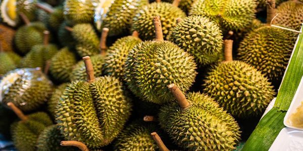 durian