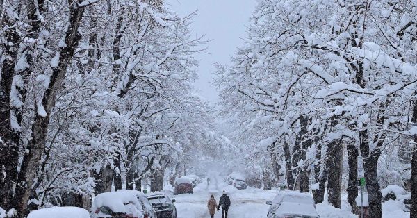 美国科罗拉多州遭遇大暴风雪，一片白雪皑皑。（法新社）