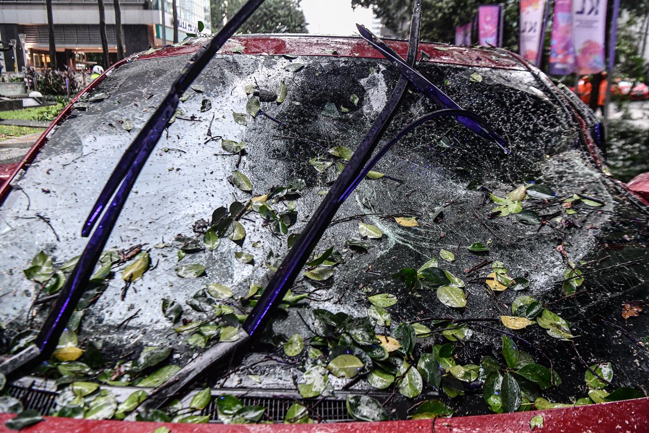 狂风暴雨吹倒大树 砸中甲首长VIP车队