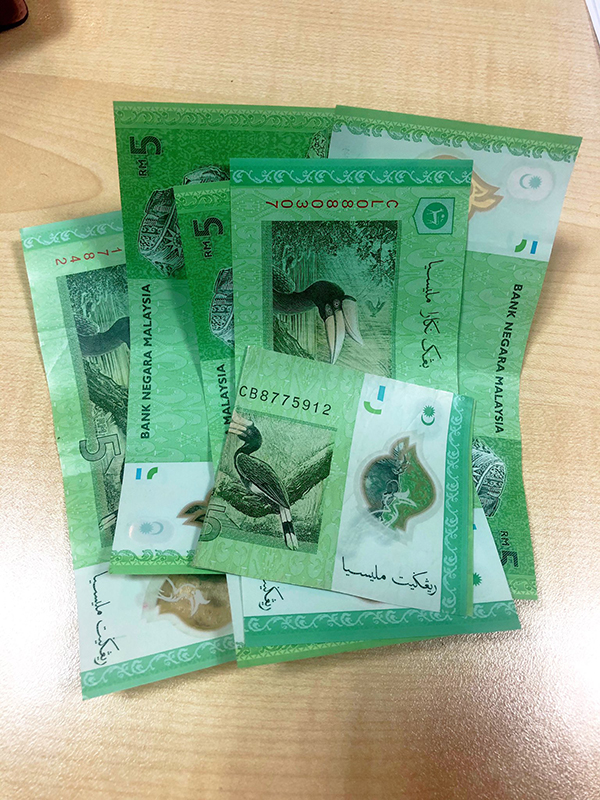 法哈娜透过收集5令吉钞票的方式开始储蓄。