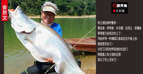 会员文：钓游天地｜秋兰湖解锁新鱼种 软竿细线耍关刀