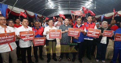 双溪峇甲补选︱拉菲兹：团结政府 6月12日公布候选人