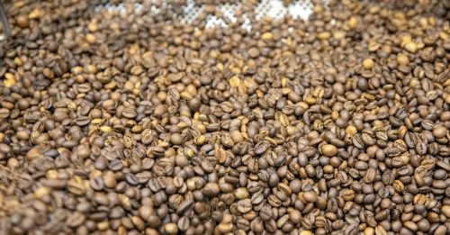 干旱天气影响产量 中美洲咖啡出口锐减26% ｜附音频