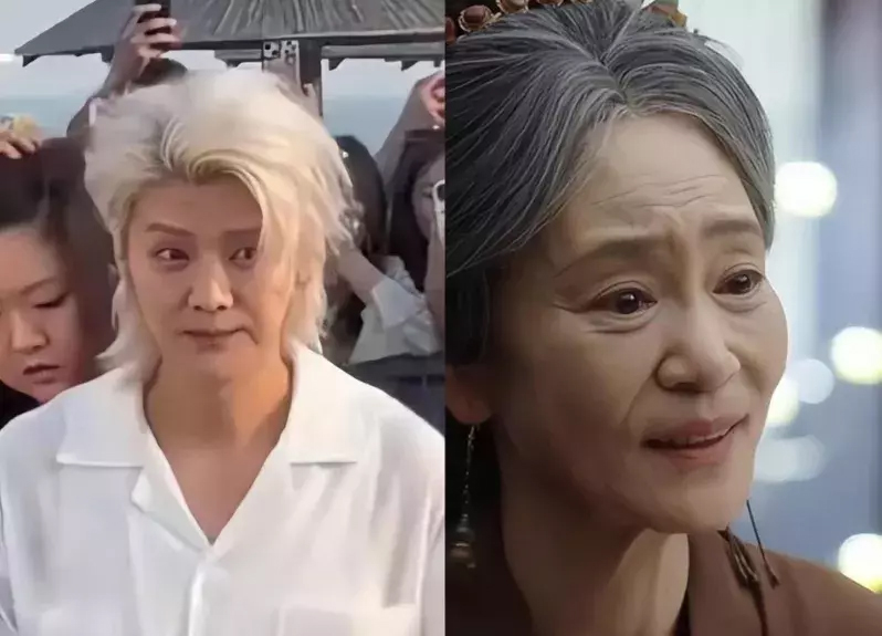 鹿晗被指撞脸65岁资深女星刘雪华。