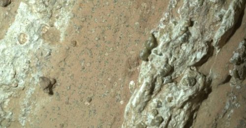 火星岩石现彩斑 或与微生物有关