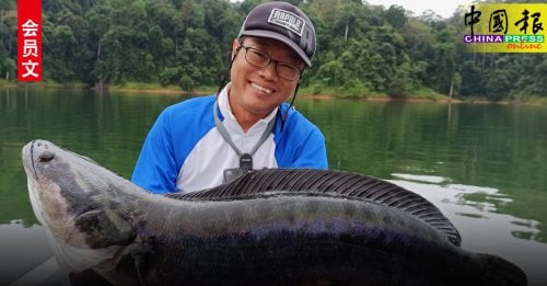 会员文：钓游天地｜霹雳水库与矿湖战多鳗 水面爆破超过瘾（上）