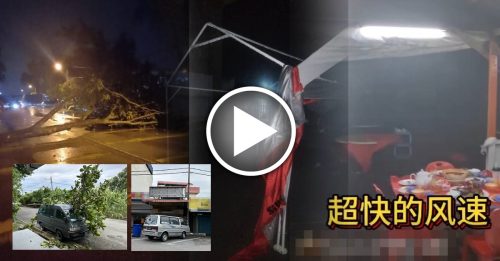 暴风雨袭新山 古来 哥打丁宜  大树倒  屋顶“开天窗”