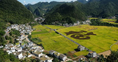 旅游调色盘｜贵州 山水宝地火红转身