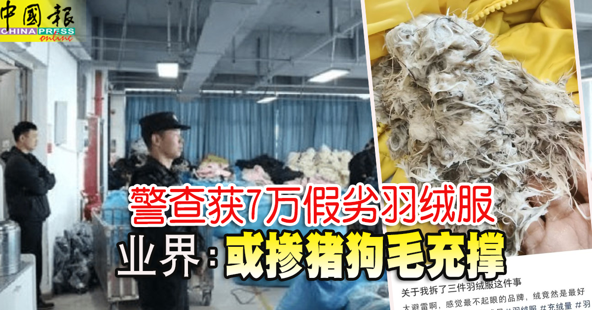 警查获7万假劣羽绒服 业界：或掺猪狗毛充撑