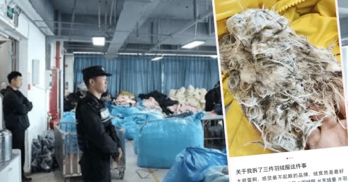 警查获7万假劣羽绒服 业界：或掺猪狗毛充撑