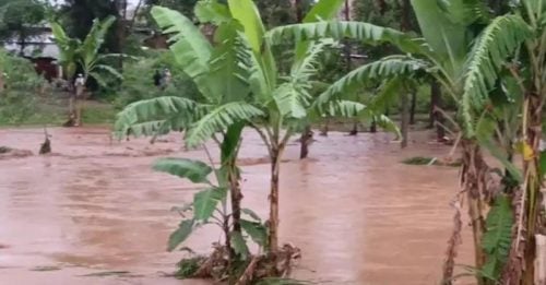 乌干达东部暴雨山崩 至少30死