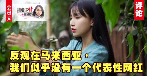 会员文｜王楚芬：名人回归 浪涛千层